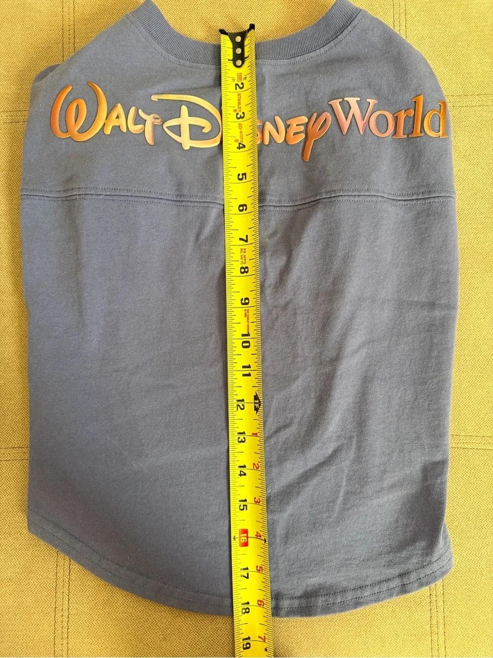 Disney World Dog Spirit Jersey